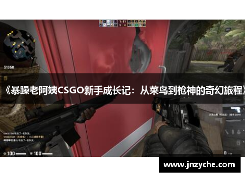 《暴躁老阿姨CSGO新手成长记：从菜鸟到枪神的奇幻旅程》